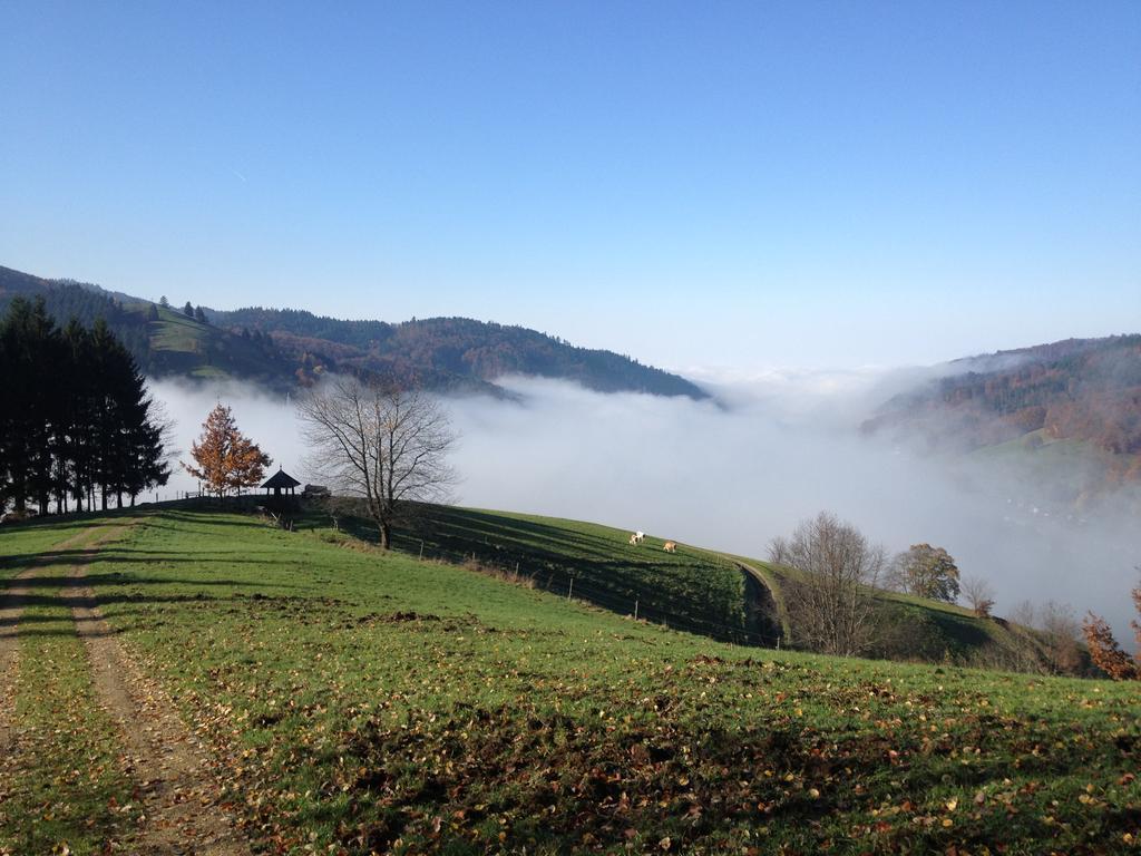 Gasthaus Zum Hirschen Staufen im Breisgau Dış mekan fotoğraf