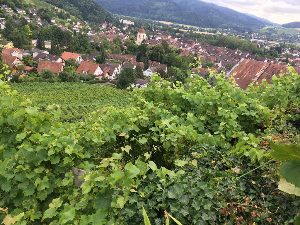 Gasthaus Zum Hirschen Staufen im Breisgau Dış mekan fotoğraf